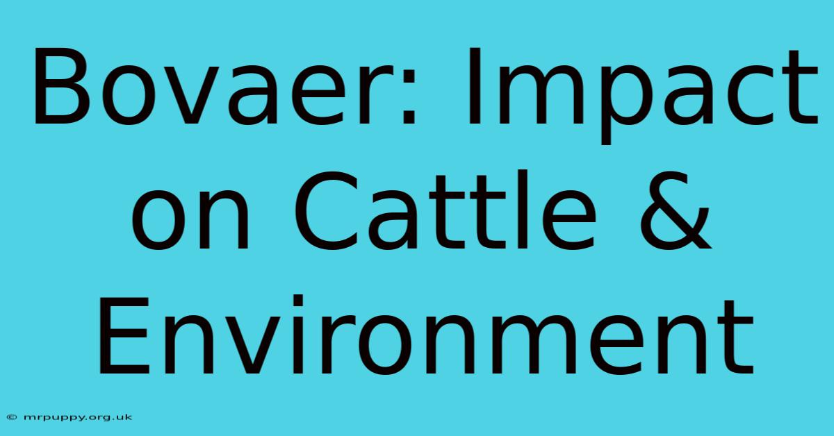 Bovaer: Impact On Cattle & Environment