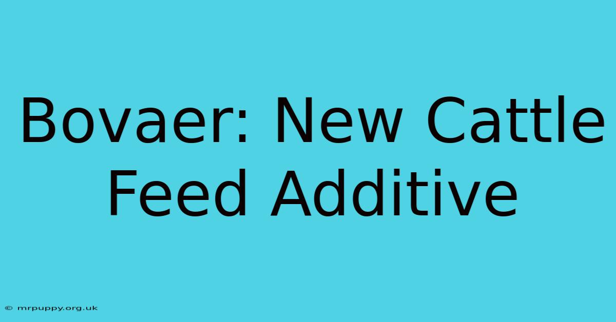 Bovaer: New Cattle Feed Additive