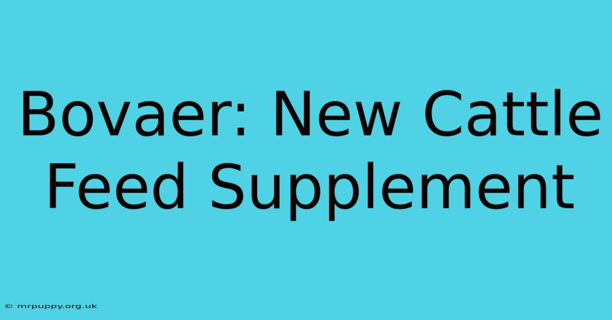 Bovaer: New Cattle Feed Supplement