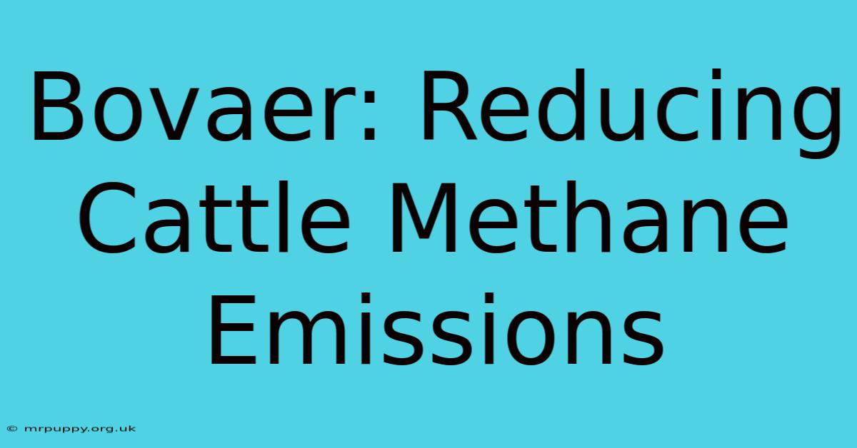 Bovaer: Reducing Cattle Methane Emissions