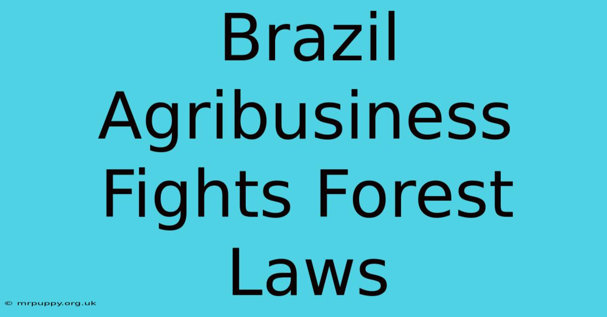 Brazil Agribusiness Fights Forest Laws