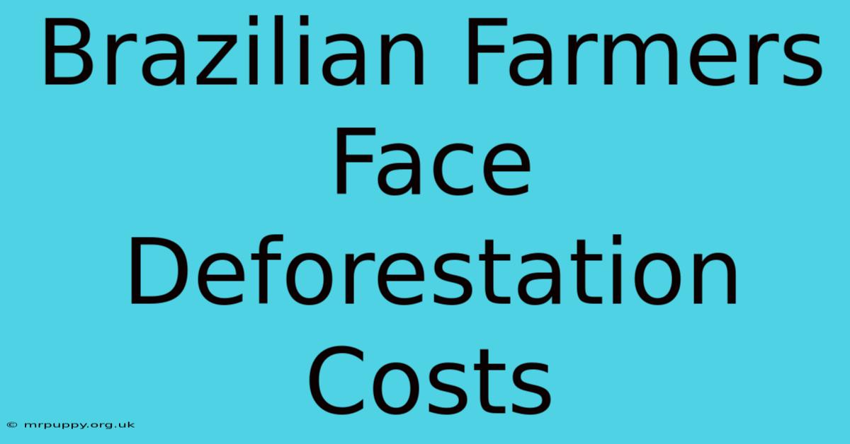 Brazilian Farmers Face Deforestation Costs