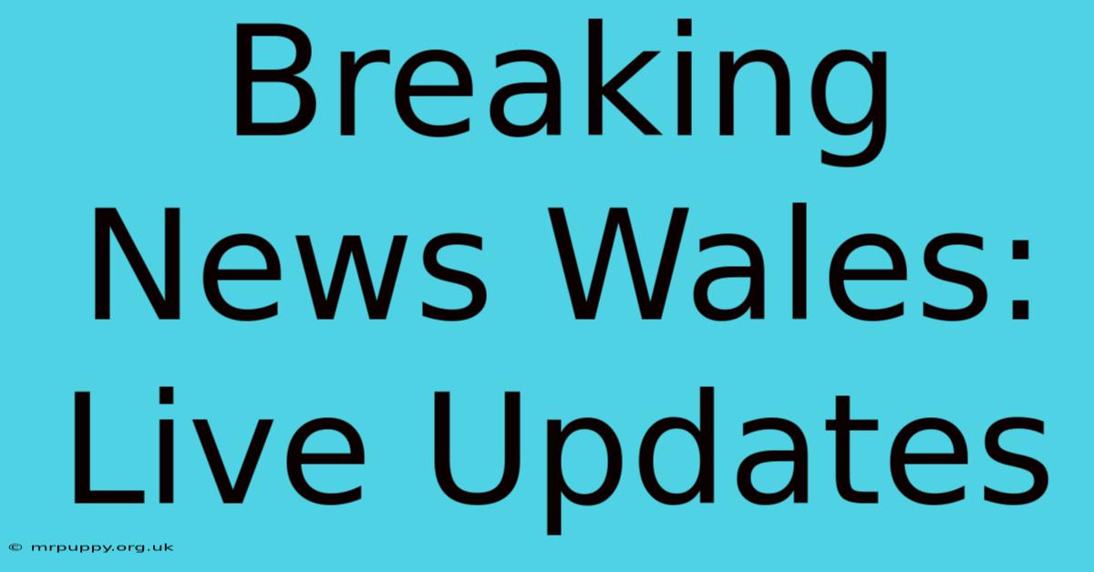 Breaking News Wales: Live Updates