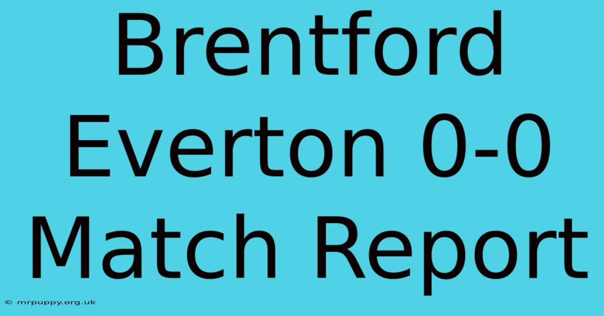 Brentford Everton 0-0 Match Report