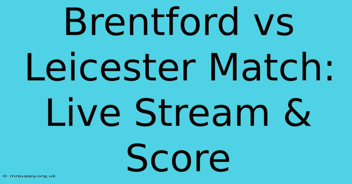 Brentford Vs Leicester Match: Live Stream & Score