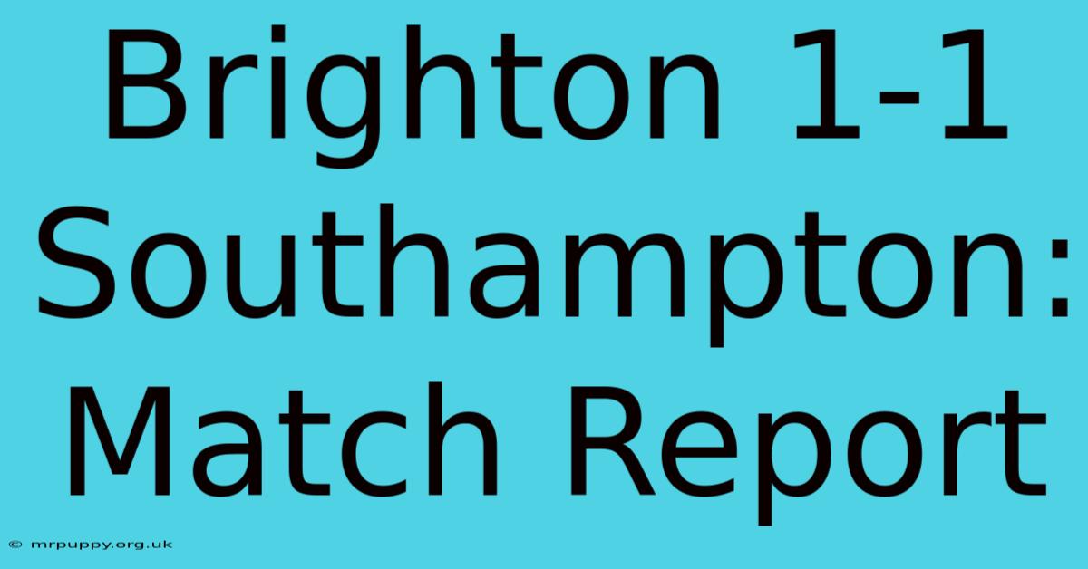 Brighton 1-1 Southampton: Match Report