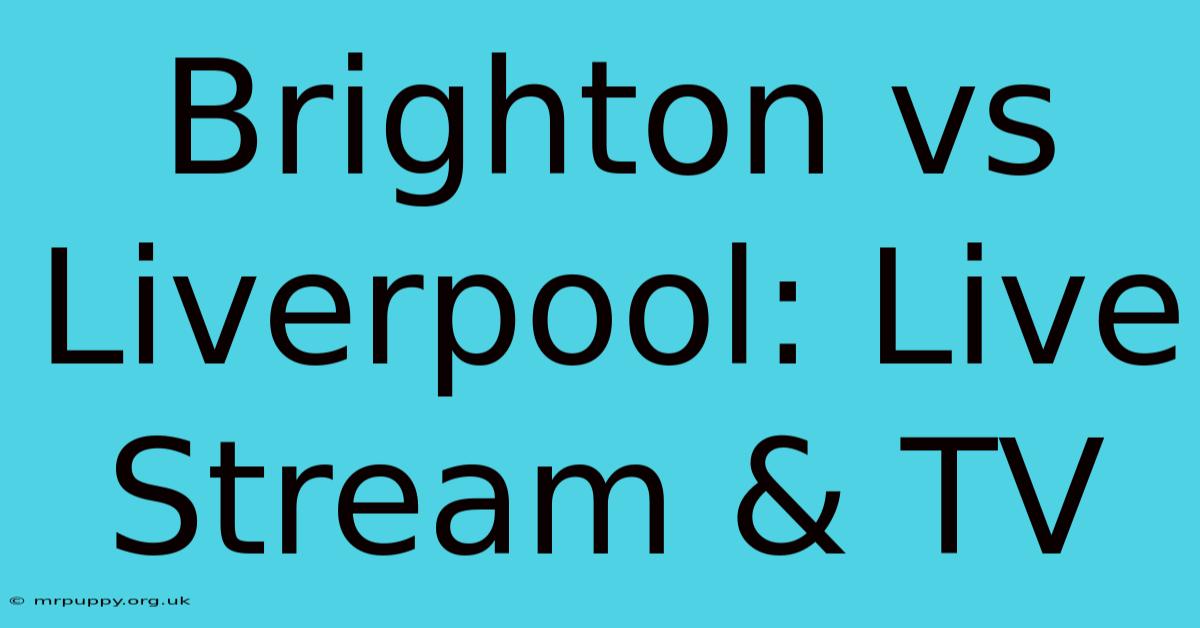 Brighton Vs Liverpool: Live Stream & TV