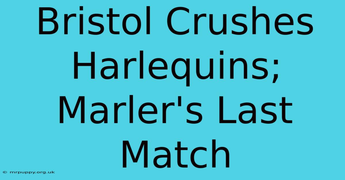 Bristol Crushes Harlequins; Marler's Last Match