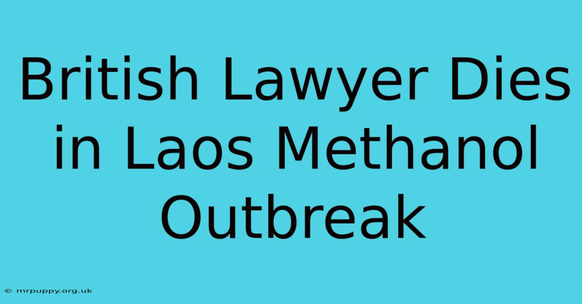 British Lawyer Dies In Laos Methanol Outbreak