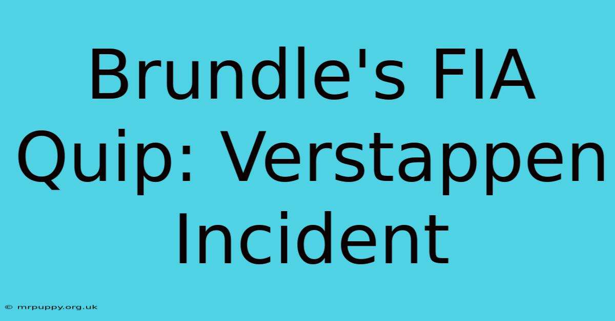 Brundle's FIA Quip: Verstappen Incident