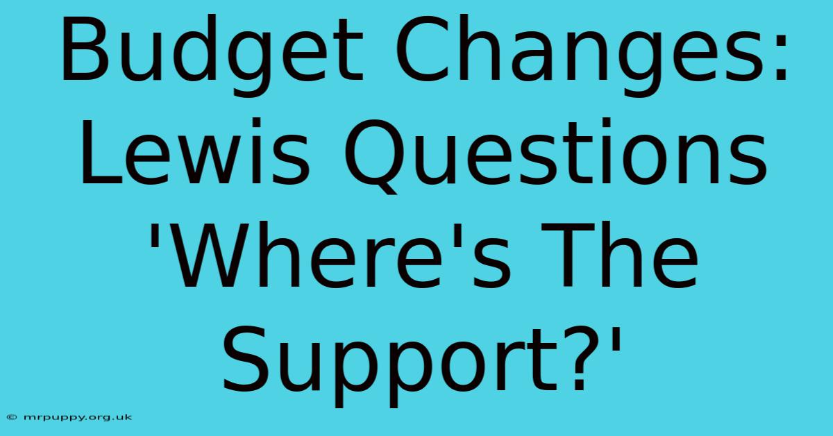 Budget Changes: Lewis Questions 'Where's The Support?'