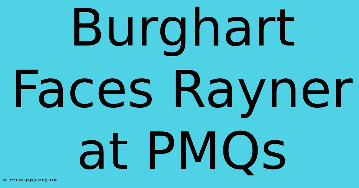 Burghart Faces Rayner At PMQs