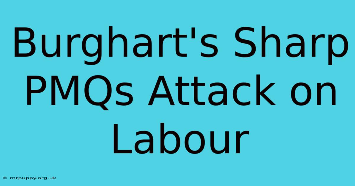 Burghart's Sharp PMQs Attack On Labour