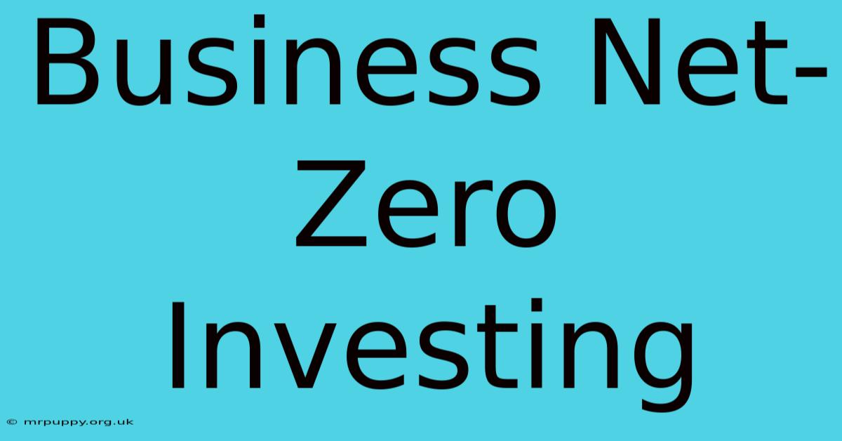 Business Net-Zero Investing