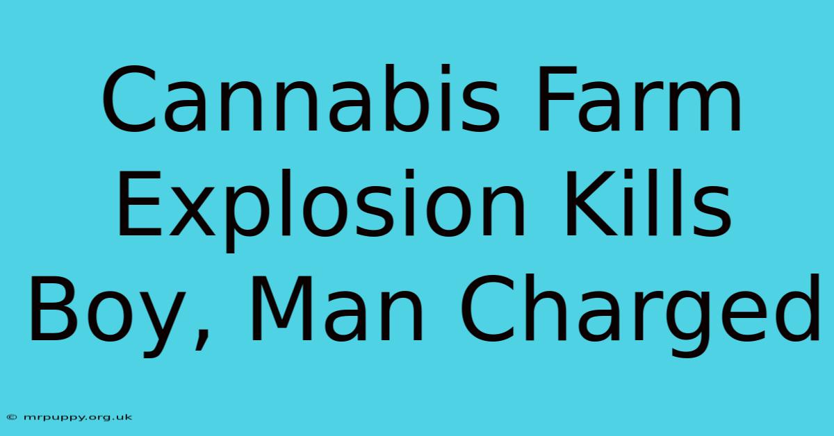 Cannabis Farm Explosion Kills Boy, Man Charged