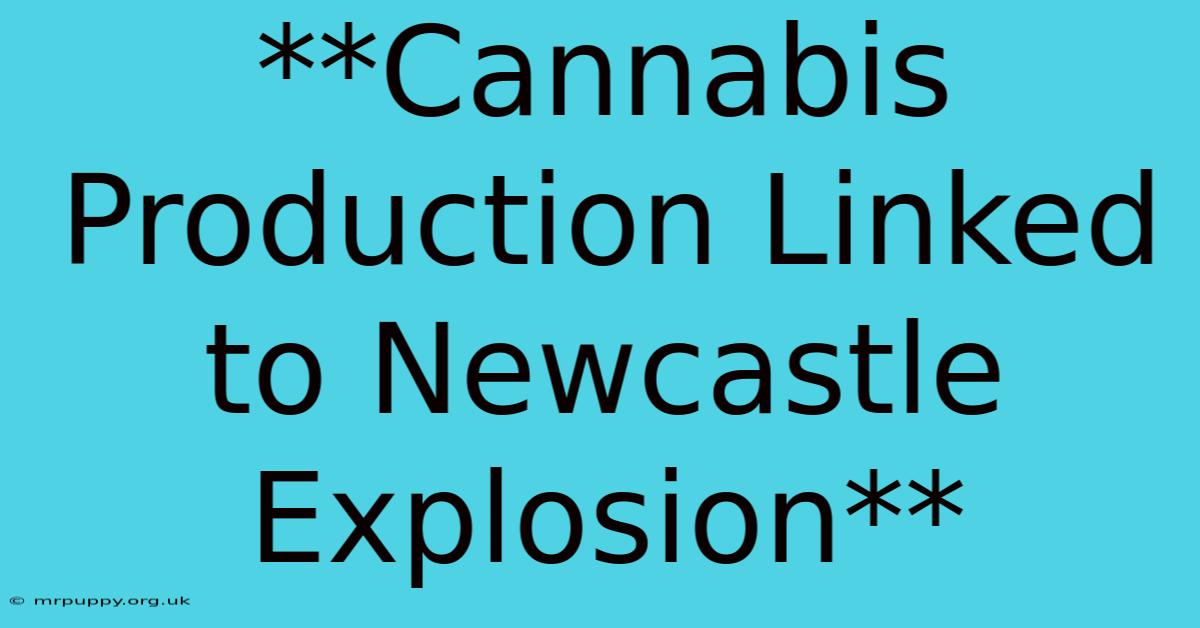 **Cannabis Production Linked To Newcastle Explosion** 