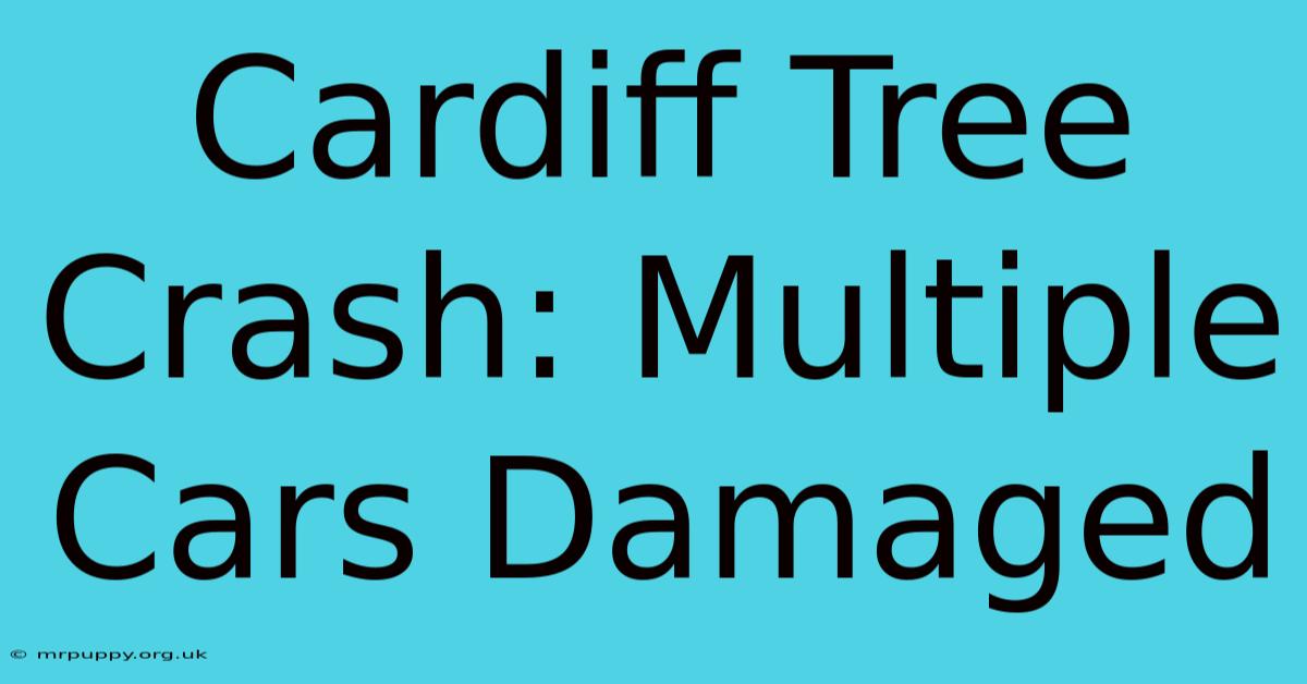 Cardiff Tree Crash: Multiple Cars Damaged