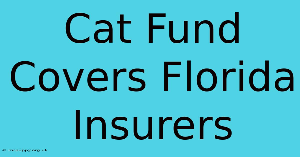 Cat Fund Covers Florida Insurers