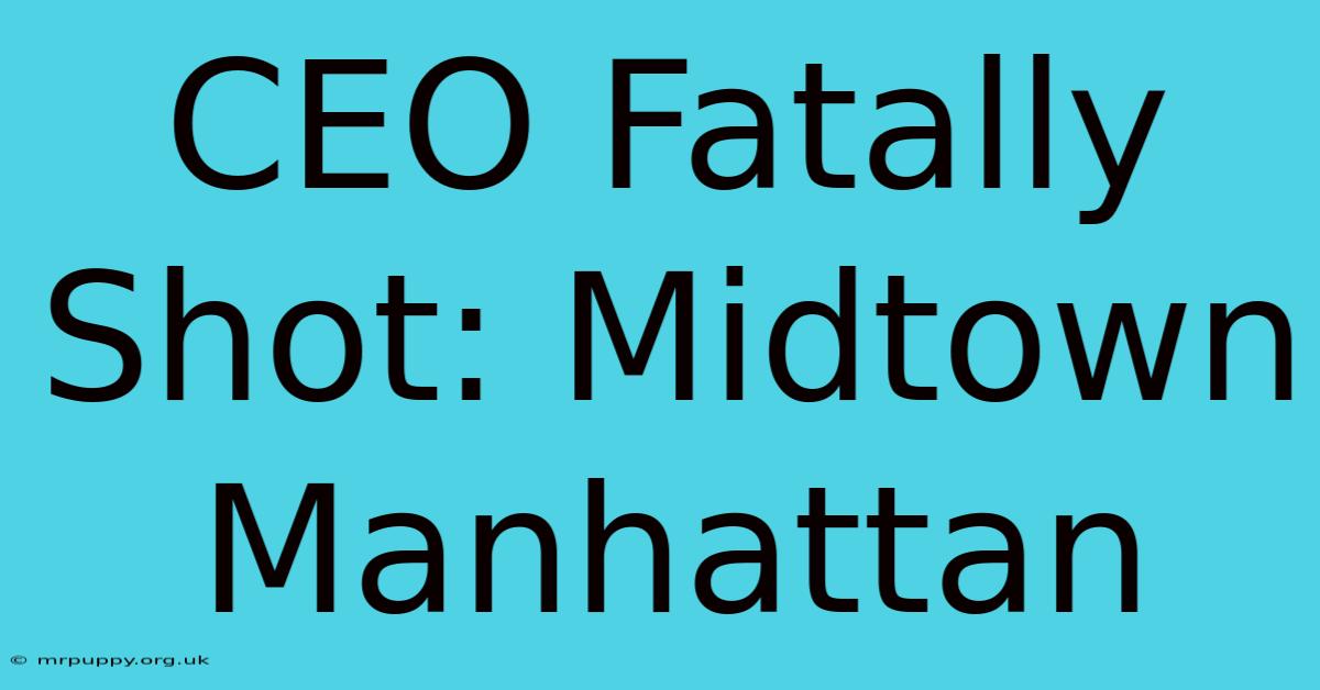 CEO Fatally Shot: Midtown Manhattan