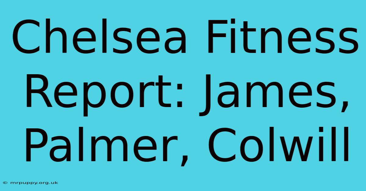 Chelsea Fitness Report: James, Palmer, Colwill