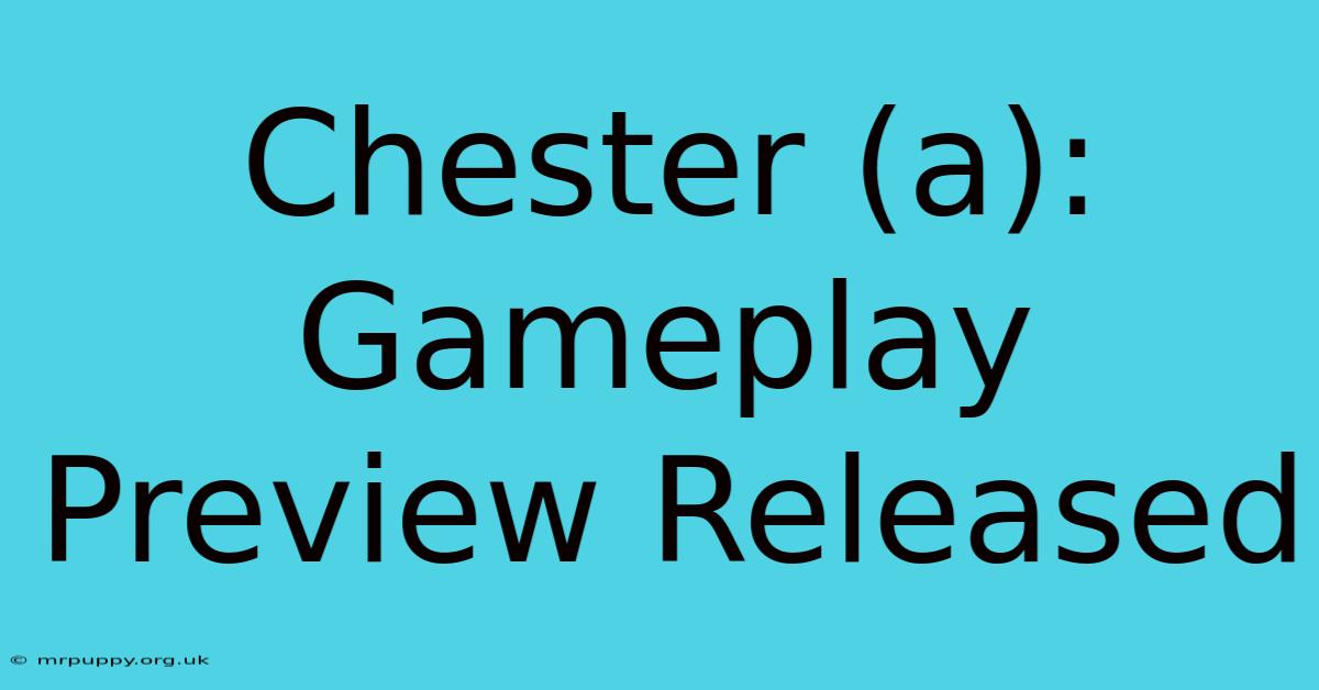 Chester (a): Gameplay Preview Released