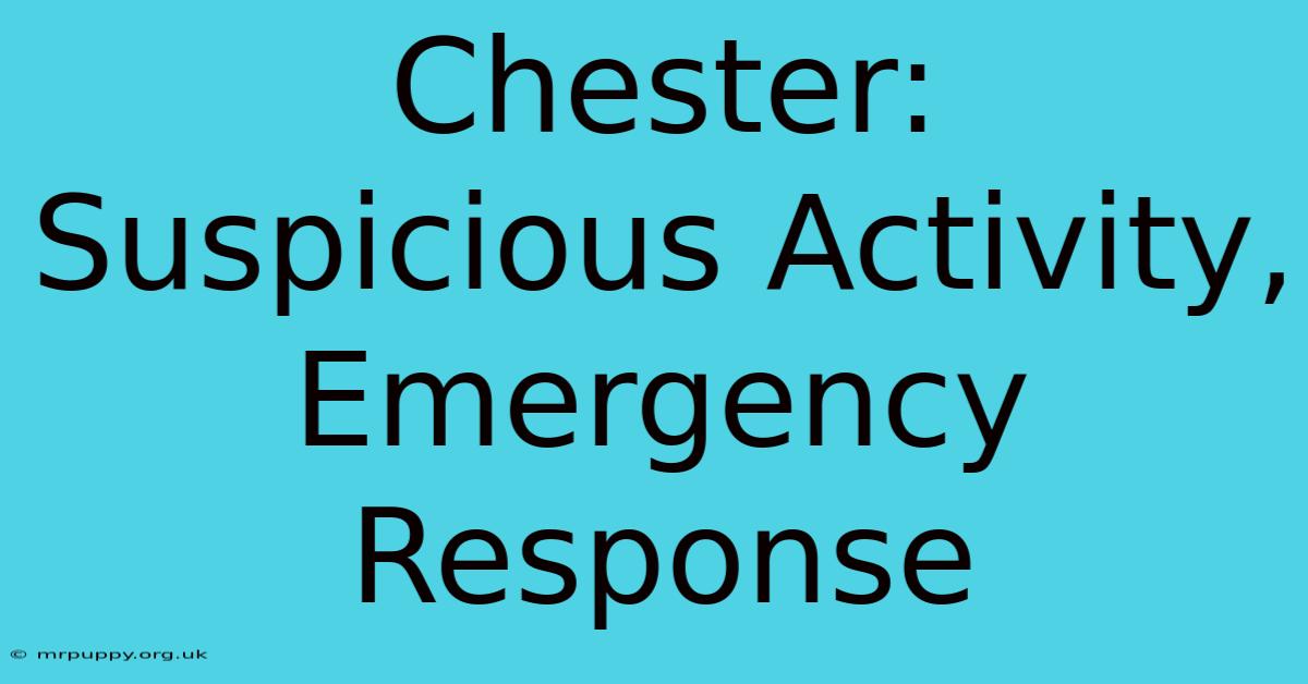 Chester: Suspicious Activity, Emergency Response