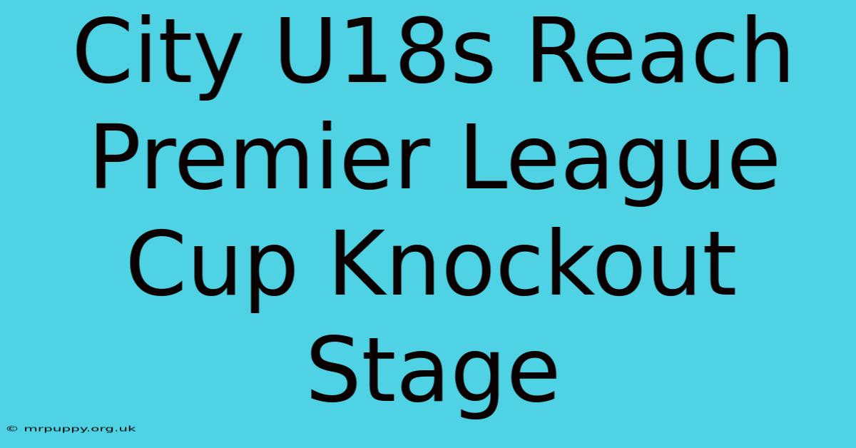 City U18s Reach Premier League Cup Knockout Stage