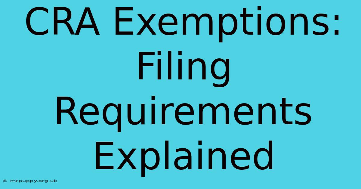 CRA Exemptions: Filing Requirements Explained 