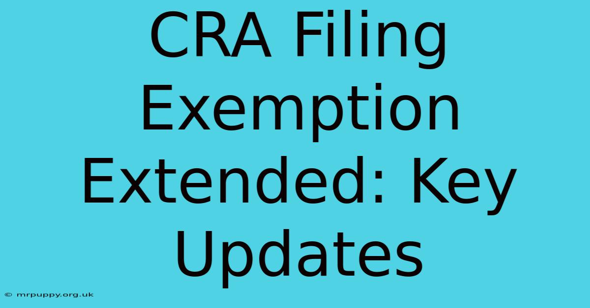 CRA Filing Exemption Extended: Key Updates