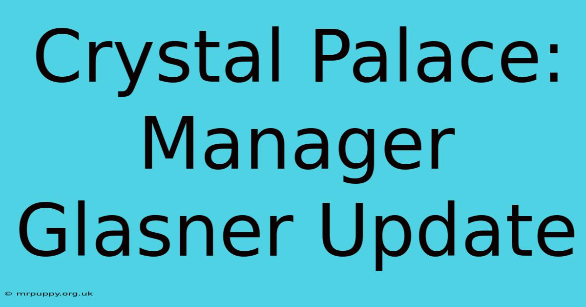 Crystal Palace: Manager Glasner Update