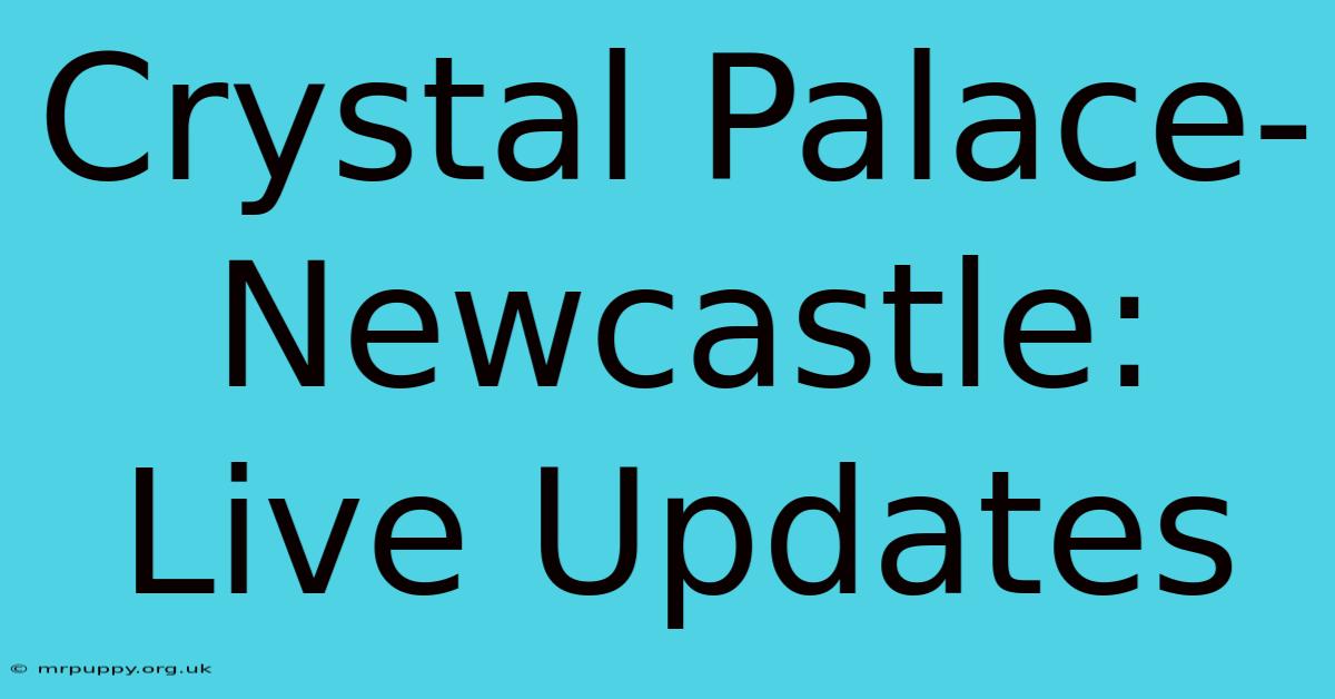 Crystal Palace-Newcastle: Live Updates