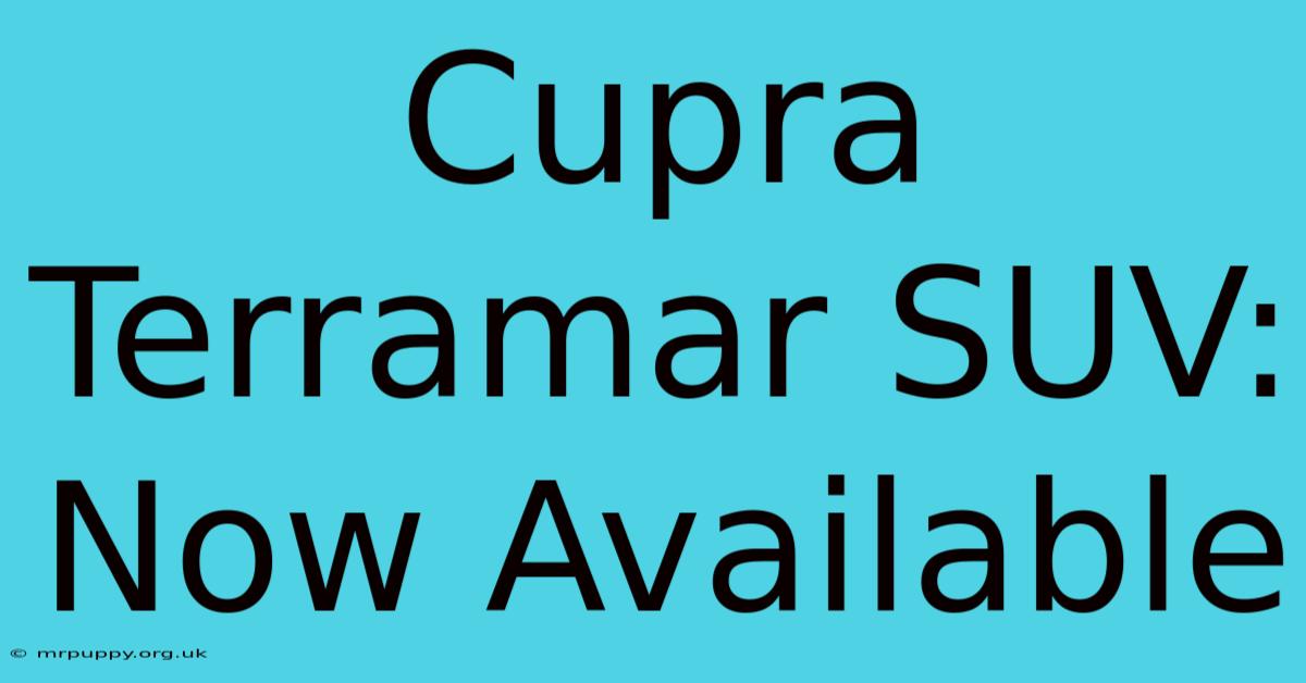 Cupra Terramar SUV: Now Available