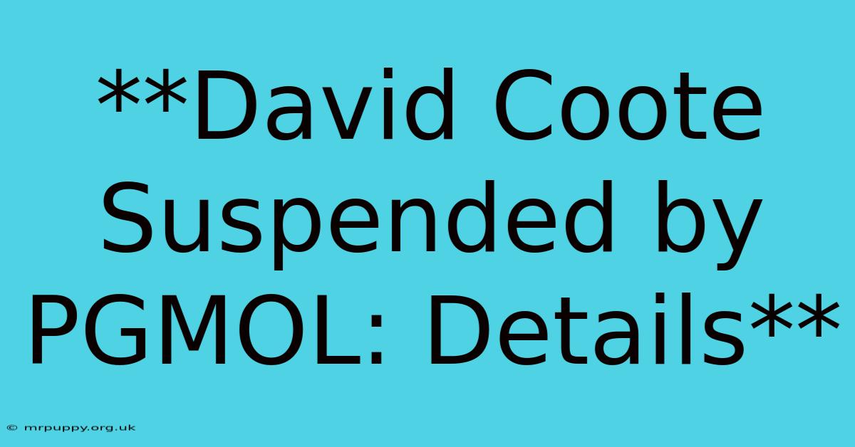 **David Coote Suspended By PGMOL: Details** 