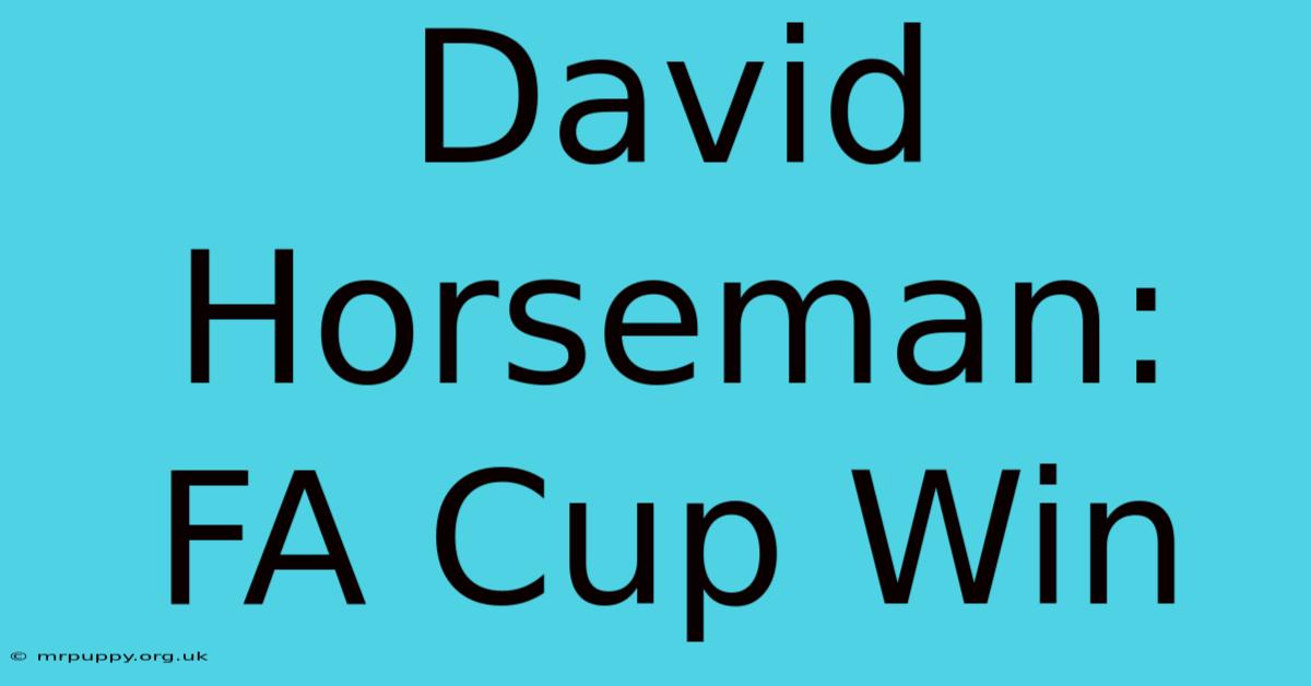 David Horseman: FA Cup Win