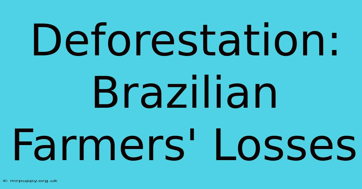 Deforestation: Brazilian Farmers' Losses