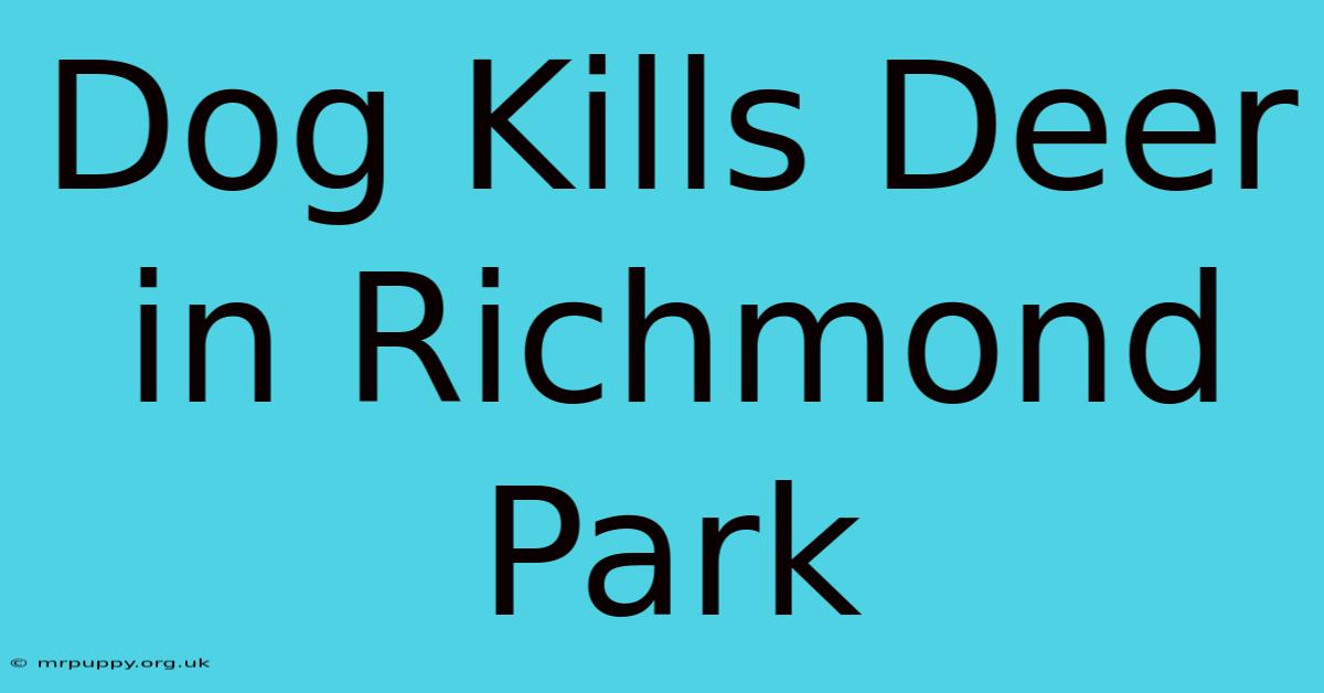 Dog Kills Deer In Richmond Park