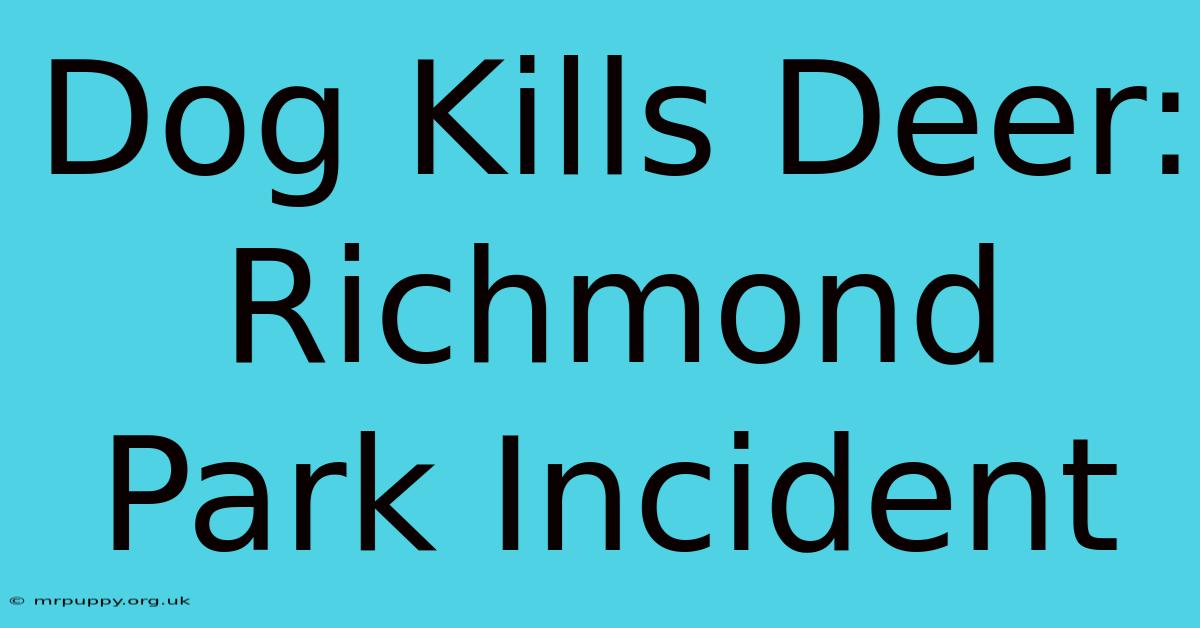 Dog Kills Deer: Richmond Park Incident