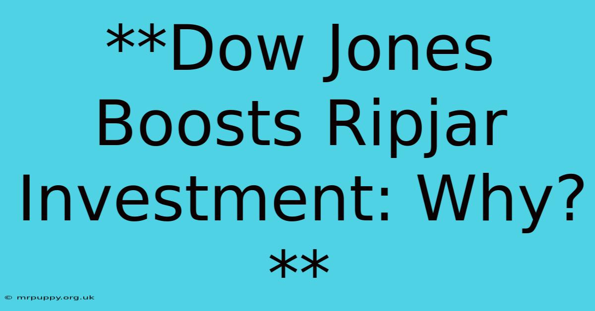 **Dow Jones Boosts Ripjar Investment: Why?**