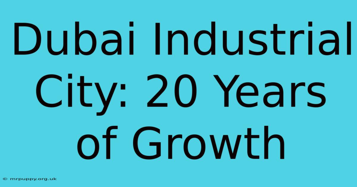 Dubai Industrial City: 20 Years Of Growth