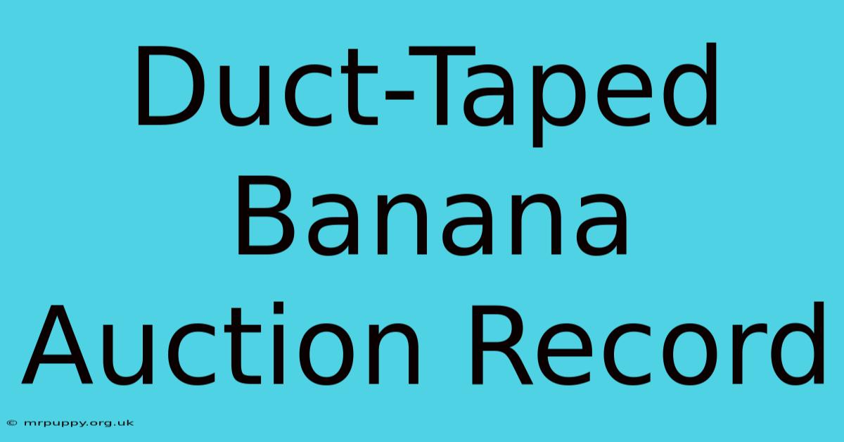 Duct-Taped Banana Auction Record