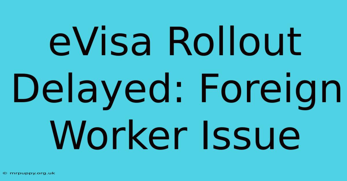 EVisa Rollout Delayed: Foreign Worker Issue