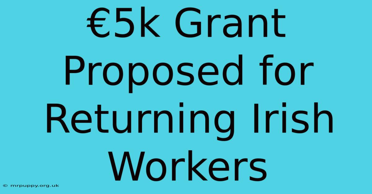 €5k Grant Proposed For Returning Irish Workers