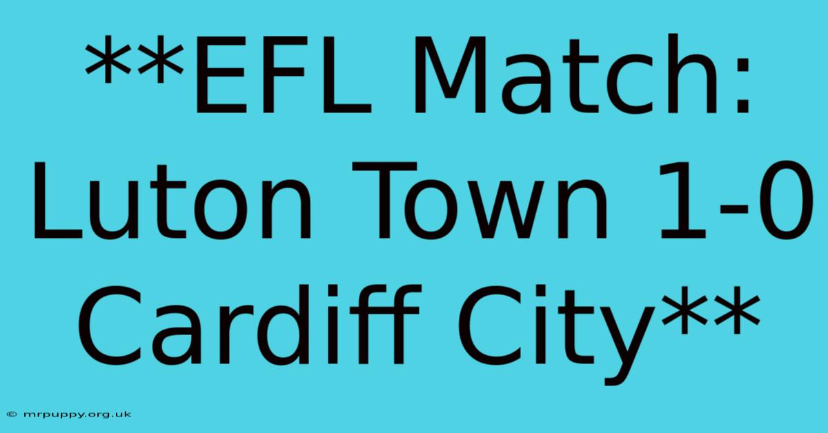 **EFL Match: Luton Town 1-0 Cardiff City**