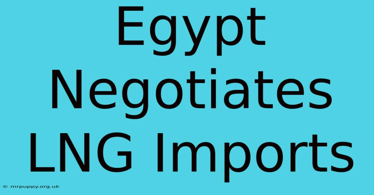 Egypt Negotiates LNG Imports