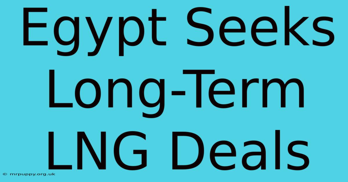 Egypt Seeks Long-Term LNG Deals