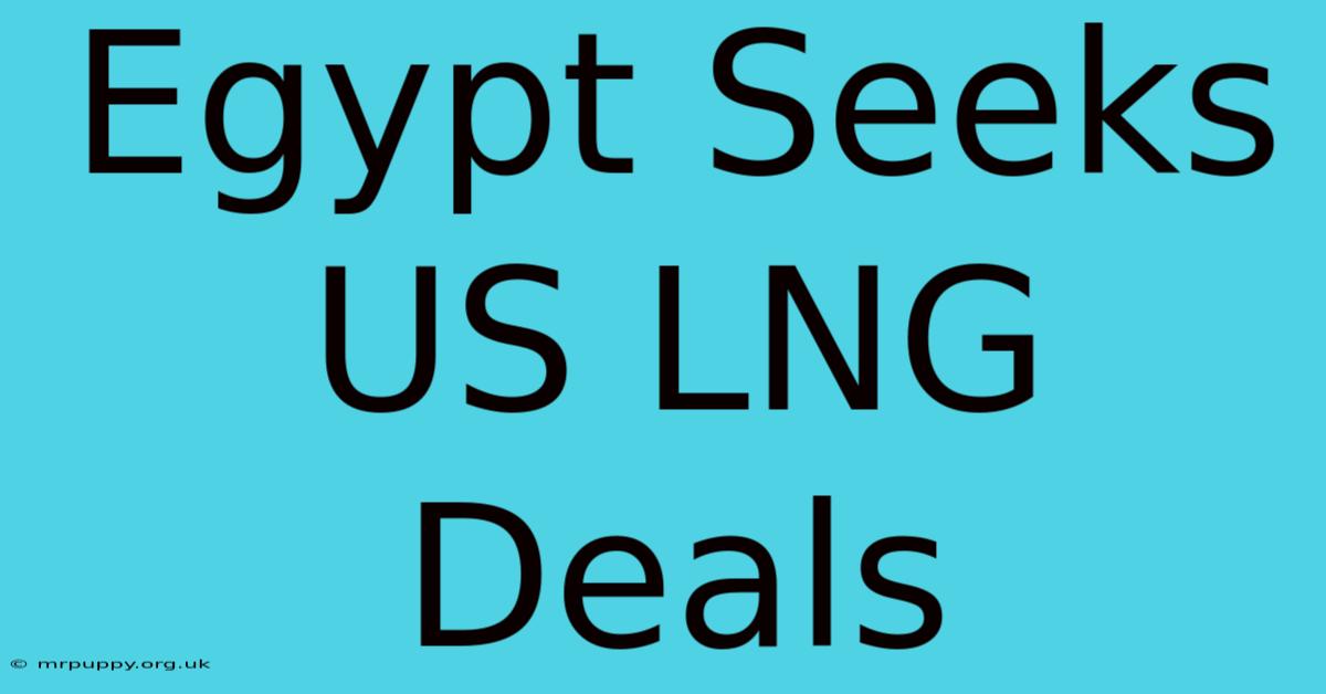 Egypt Seeks US LNG Deals