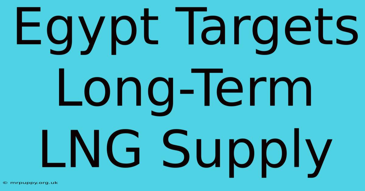 Egypt Targets Long-Term LNG Supply