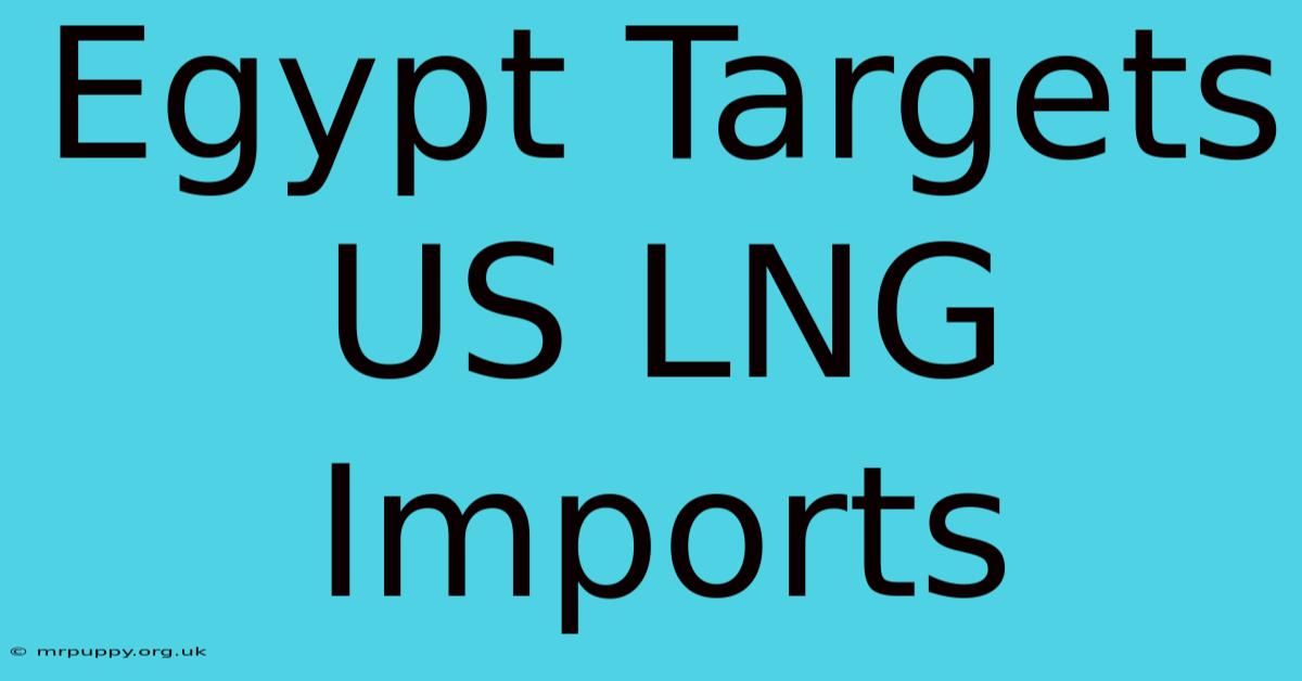 Egypt Targets US LNG Imports