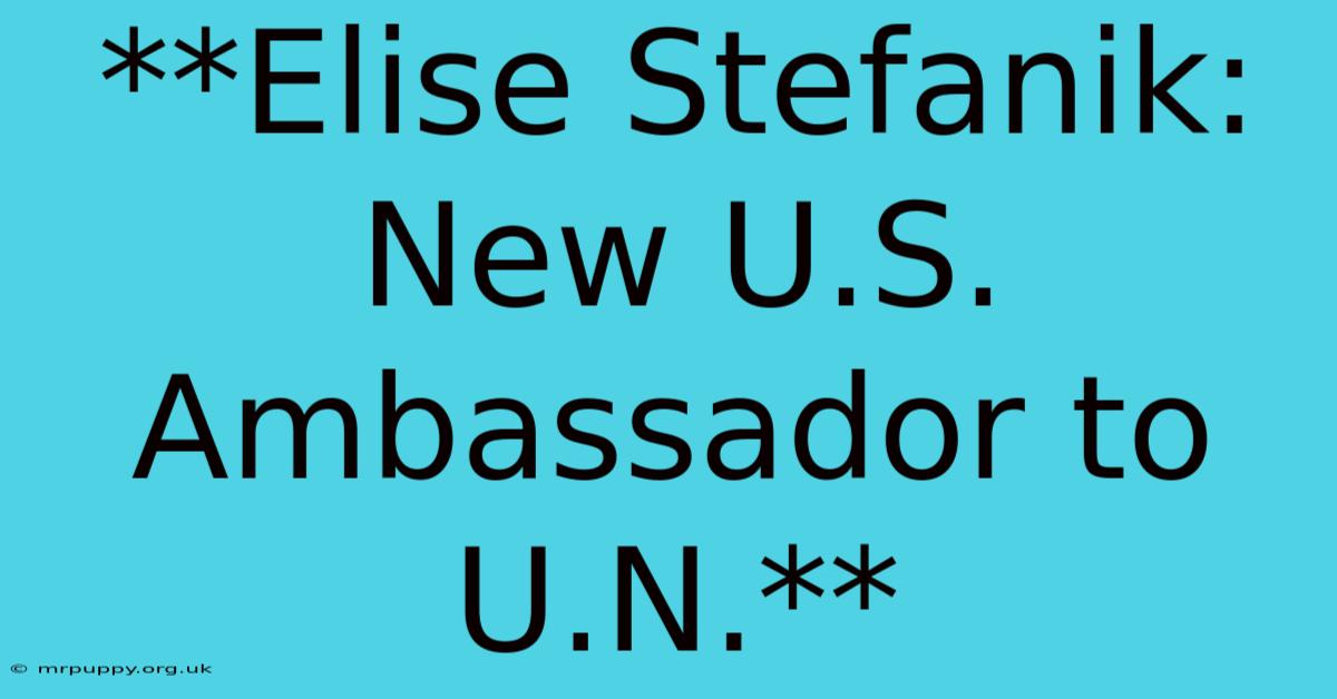 **Elise Stefanik: New U.S. Ambassador To U.N.**