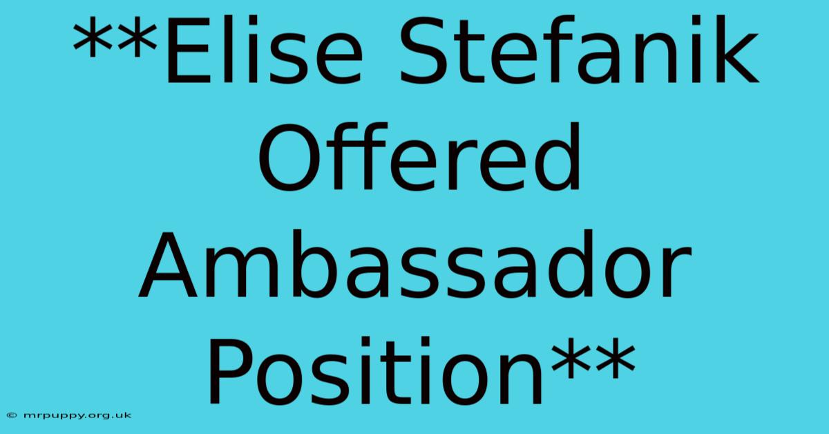 **Elise Stefanik Offered Ambassador Position**